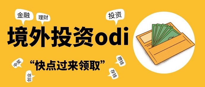 ODI投资主体多样性及其影响